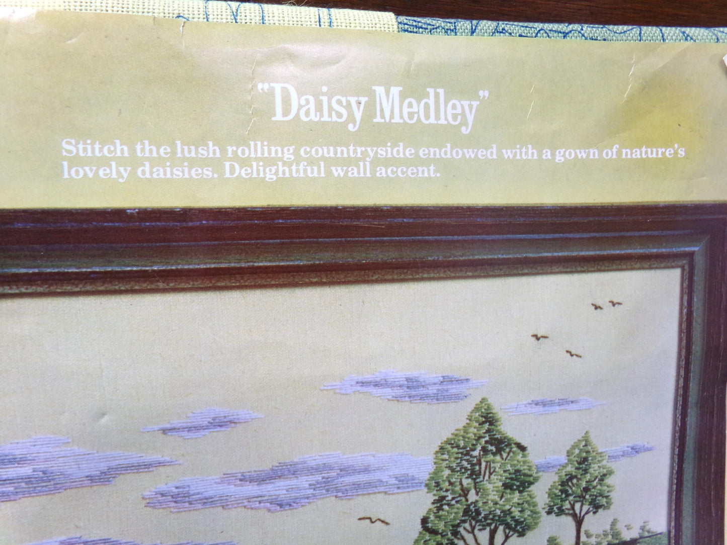 DAISY MEDLEY Crewel Stitchery Kit, Hippie Boho Vintage 0632 Paragon Needlecraft Embroidery, Design by Adele Veres