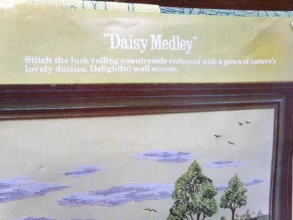 DAISY MEDLEY Crewel Stitchery Kit, Hippie Boho Vintage 0632 Paragon Needlecraft Embroidery, Design by Adele Veres