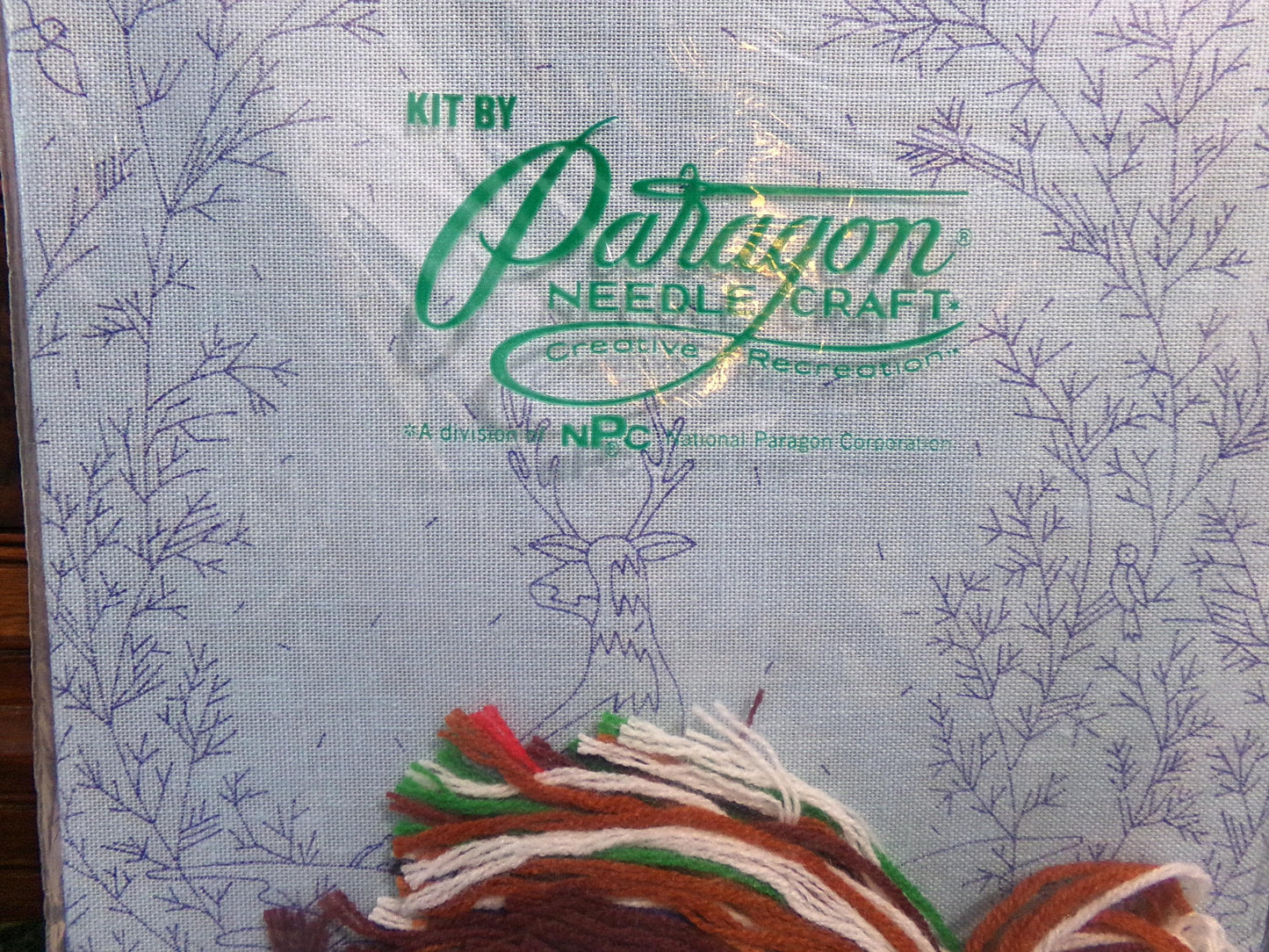 WOODLAND WATCH Whimsical Crewel Embroidery Kit, Paragon Needlecraft 0615, Winter Wonderland Nature Scene Stitchery, Polly Gottfried Design