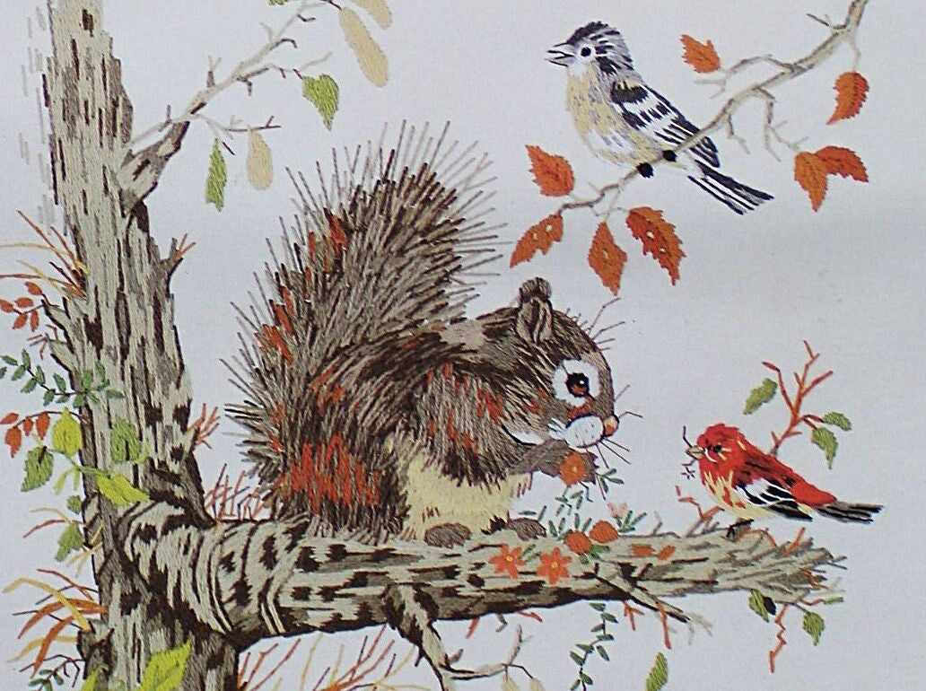 SQUIRREL and FRIENDS Vtg Crewel Embroidery Kit Paragon Stitchery 0333 Giordano