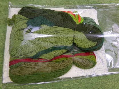 GREENERY Crewel Embroidery Kit, BOTANICAL Boho Vintage Paragon Needlecraft Creative Stitchery #0208